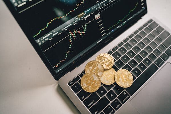 TradeVistaX Review