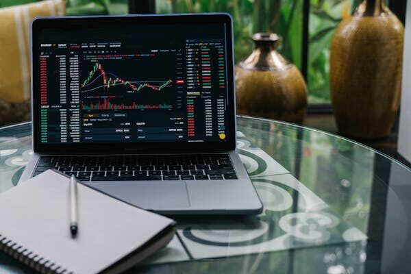 QubiQuant Vector Review